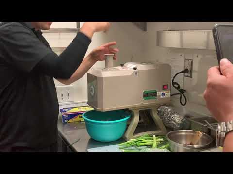 Green Onion Slicer- Vertical out (Electric)