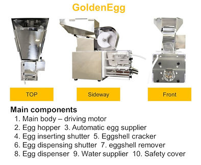 Egg Peeling Machine